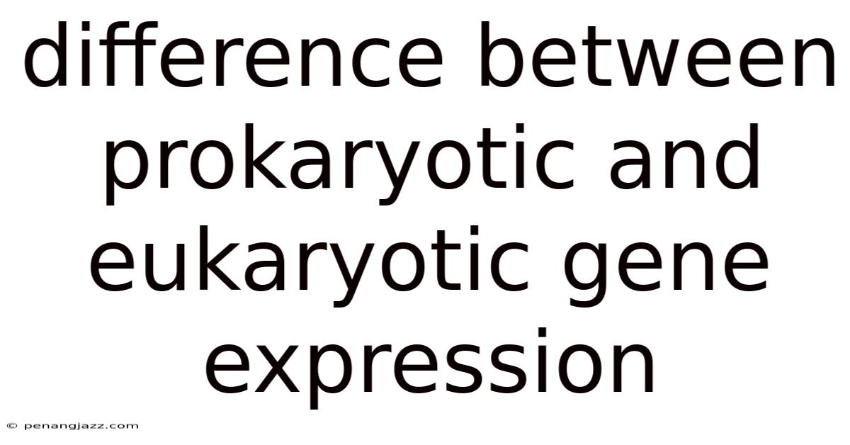 Difference Between Prokaryotic And Eukaryotic Gene Expression