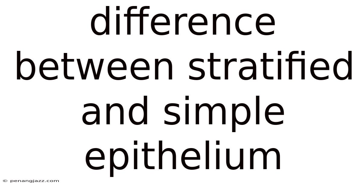 Difference Between Stratified And Simple Epithelium