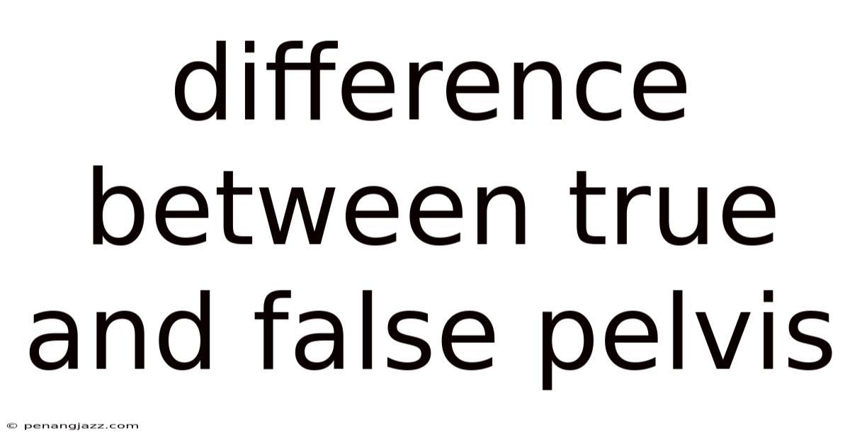 Difference Between True And False Pelvis