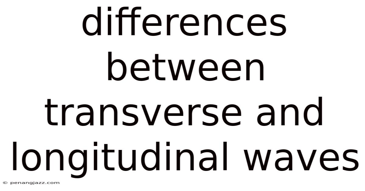 Differences Between Transverse And Longitudinal Waves
