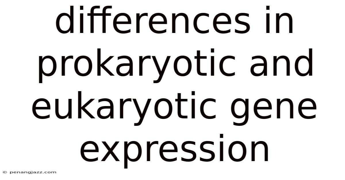 Differences In Prokaryotic And Eukaryotic Gene Expression