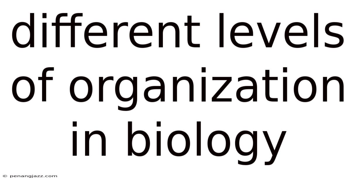 Different Levels Of Organization In Biology