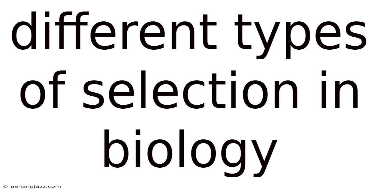 Different Types Of Selection In Biology