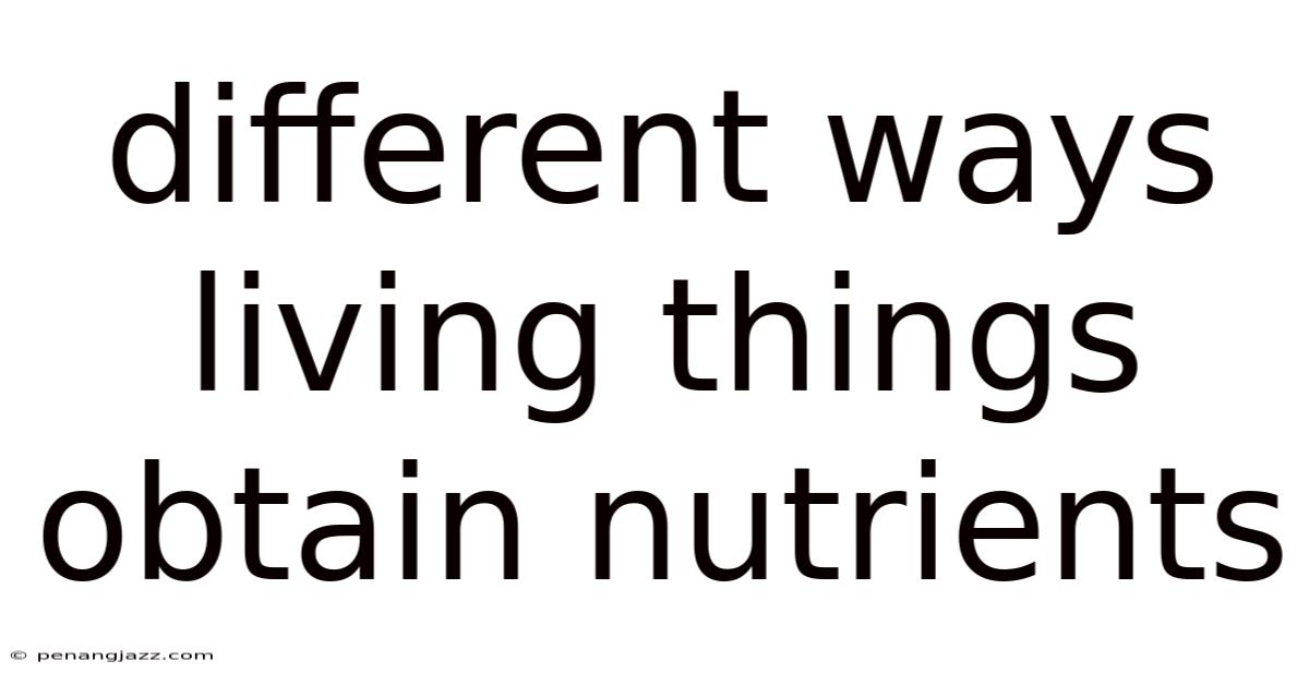 Different Ways Living Things Obtain Nutrients