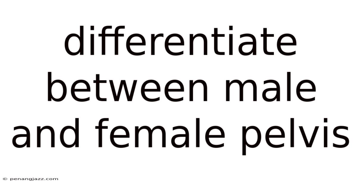 Differentiate Between Male And Female Pelvis