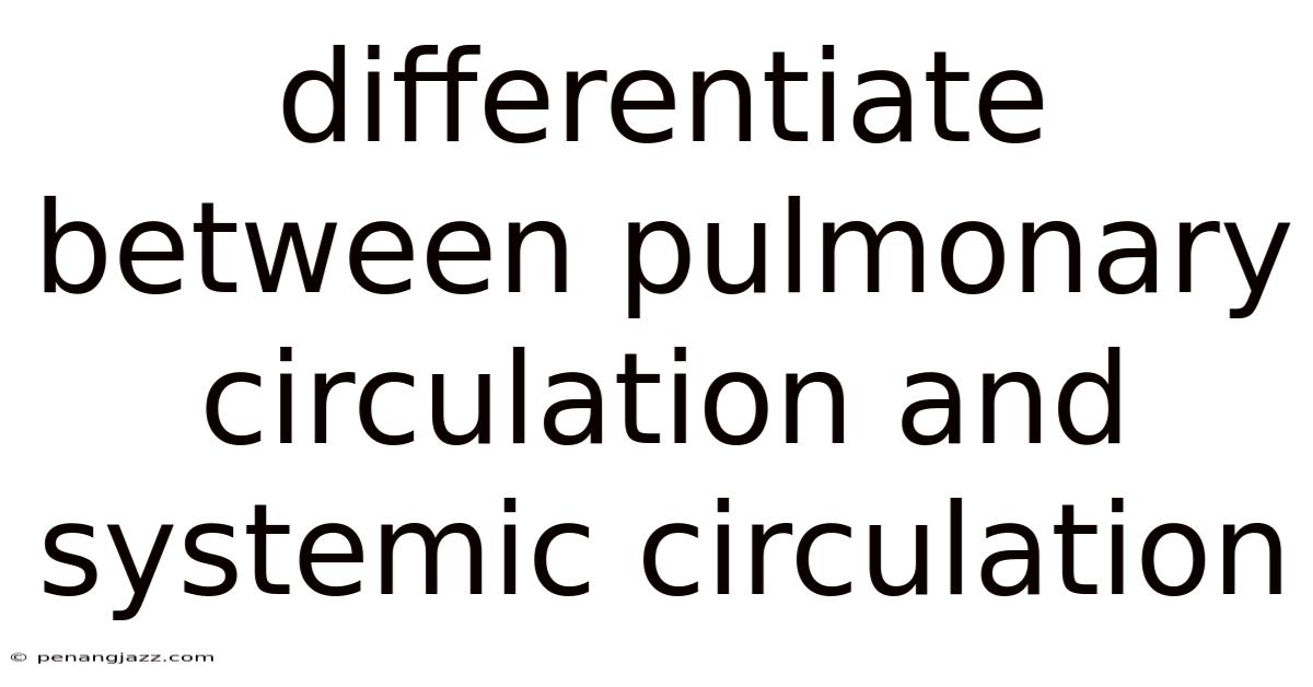 Differentiate Between Pulmonary Circulation And Systemic Circulation