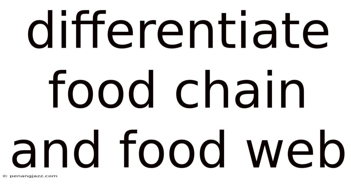 Differentiate Food Chain And Food Web