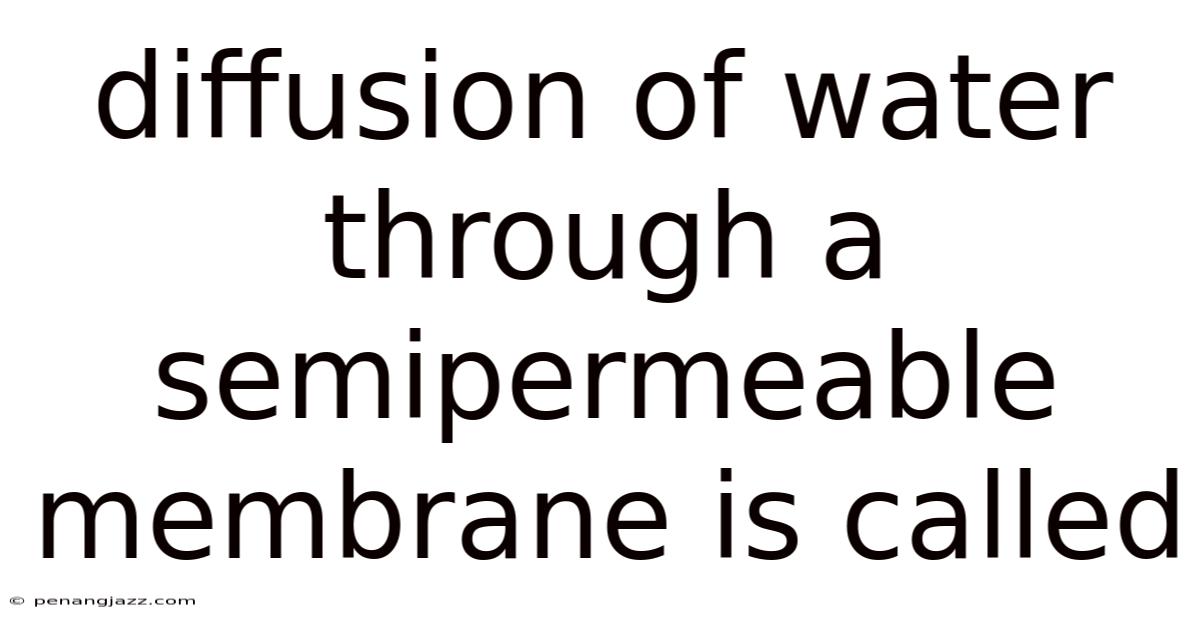 Diffusion Of Water Through A Semipermeable Membrane Is Called