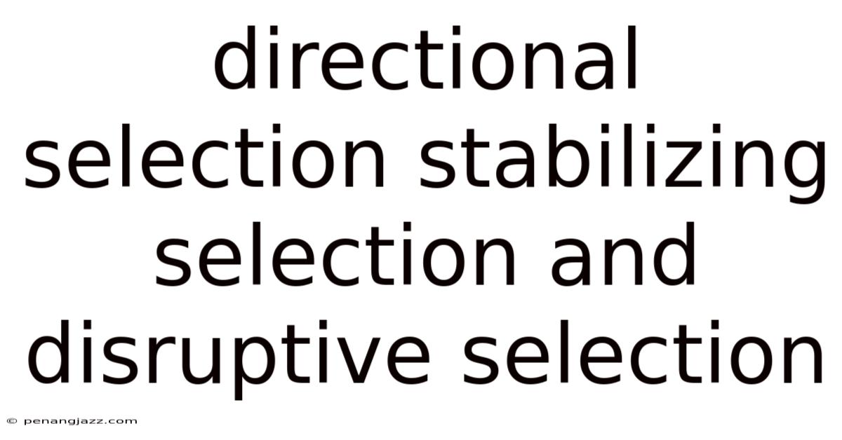 Directional Selection Stabilizing Selection And Disruptive Selection