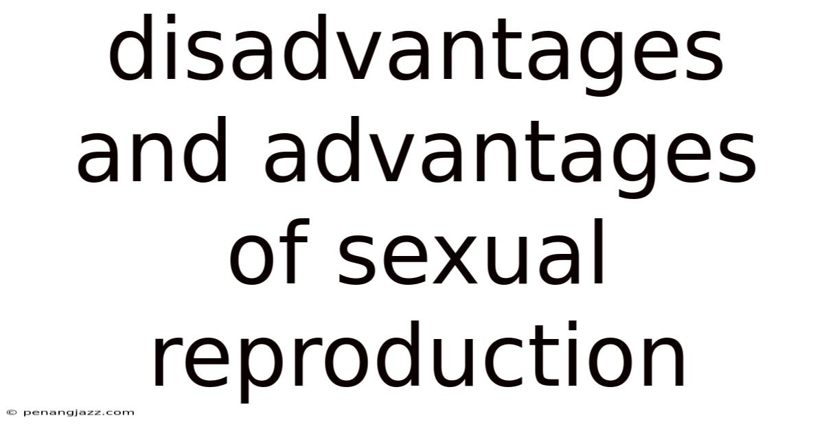 Disadvantages And Advantages Of Sexual Reproduction