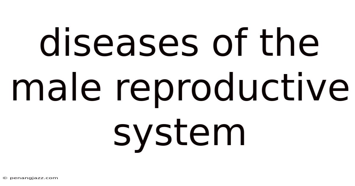 Diseases Of The Male Reproductive System