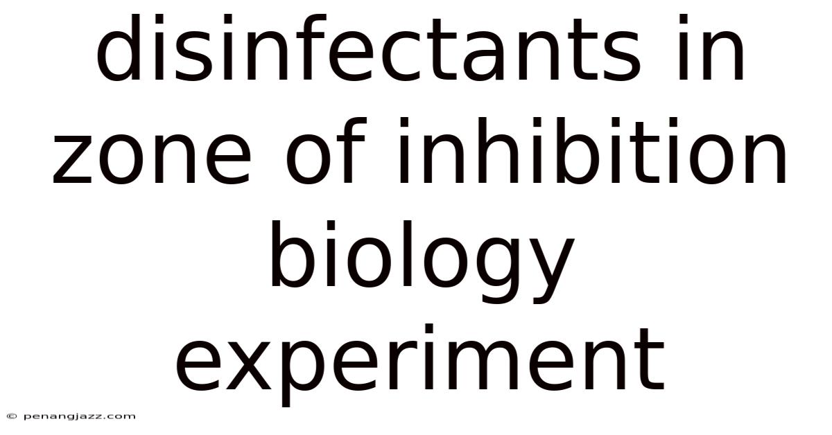 Disinfectants In Zone Of Inhibition Biology Experiment