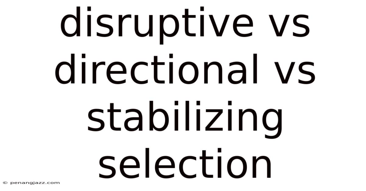Disruptive Vs Directional Vs Stabilizing Selection
