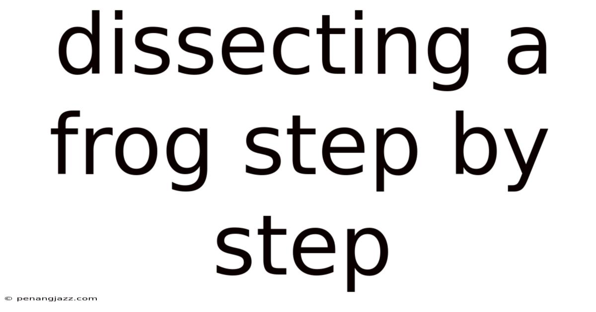 Dissecting A Frog Step By Step