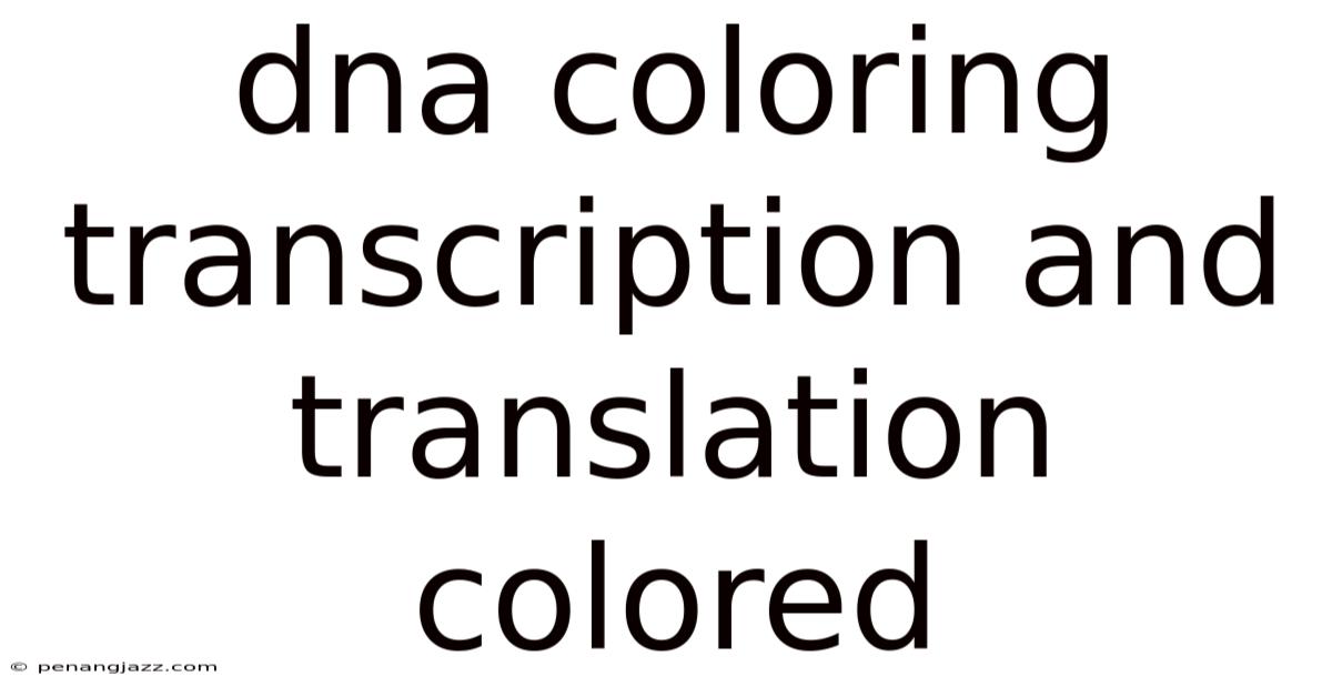 Dna Coloring Transcription And Translation Colored
