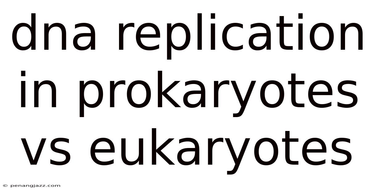 Dna Replication In Prokaryotes Vs Eukaryotes