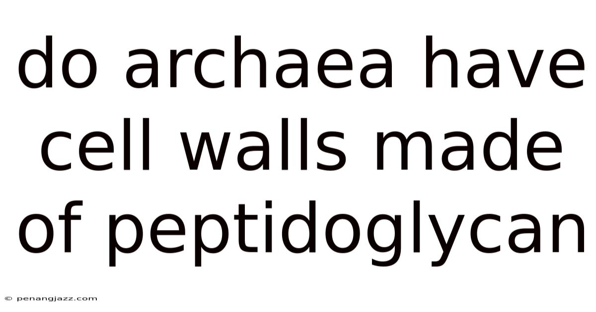 Do Archaea Have Cell Walls Made Of Peptidoglycan