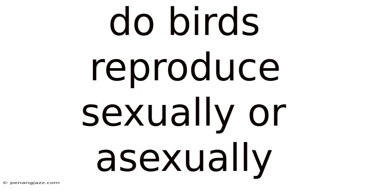 Do Birds Reproduce Sexually Or Asexually