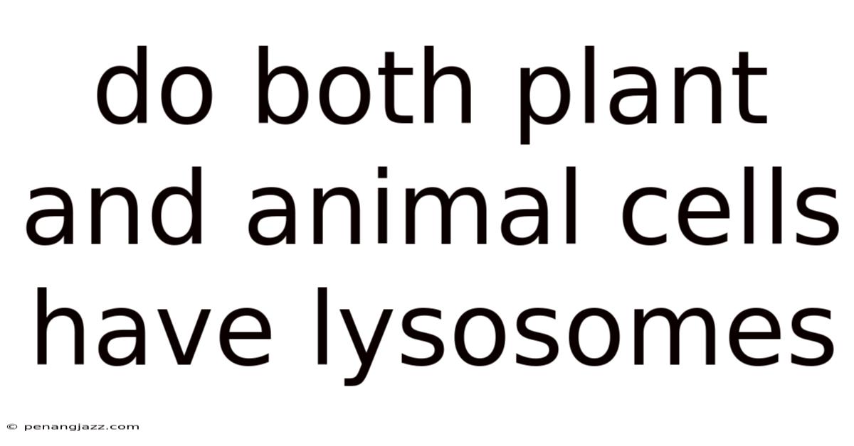 Do Both Plant And Animal Cells Have Lysosomes