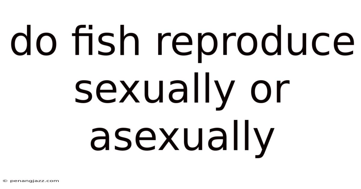 Do Fish Reproduce Sexually Or Asexually