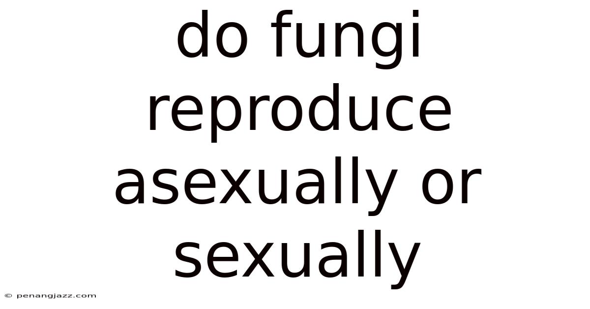 Do Fungi Reproduce Asexually Or Sexually
