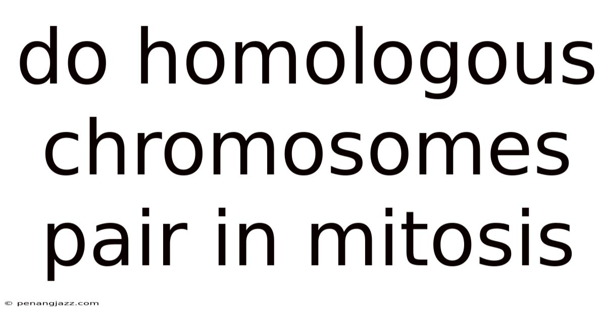Do Homologous Chromosomes Pair In Mitosis