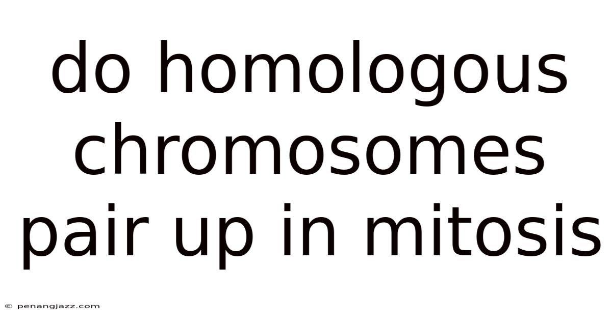 Do Homologous Chromosomes Pair Up In Mitosis