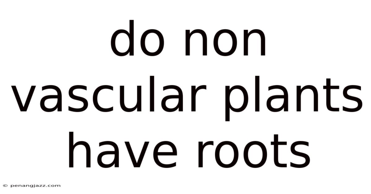 Do Non Vascular Plants Have Roots