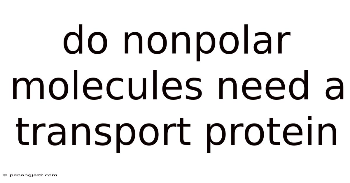 Do Nonpolar Molecules Need A Transport Protein