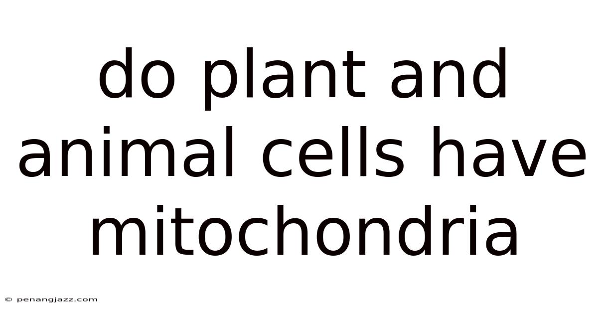 Do Plant And Animal Cells Have Mitochondria