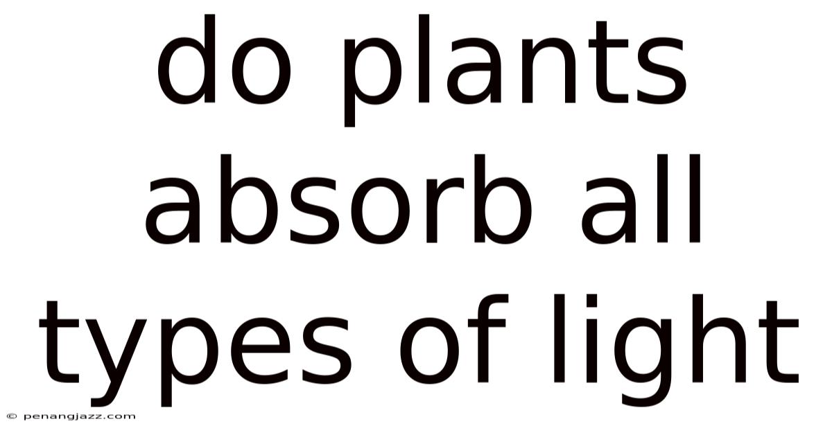 Do Plants Absorb All Types Of Light