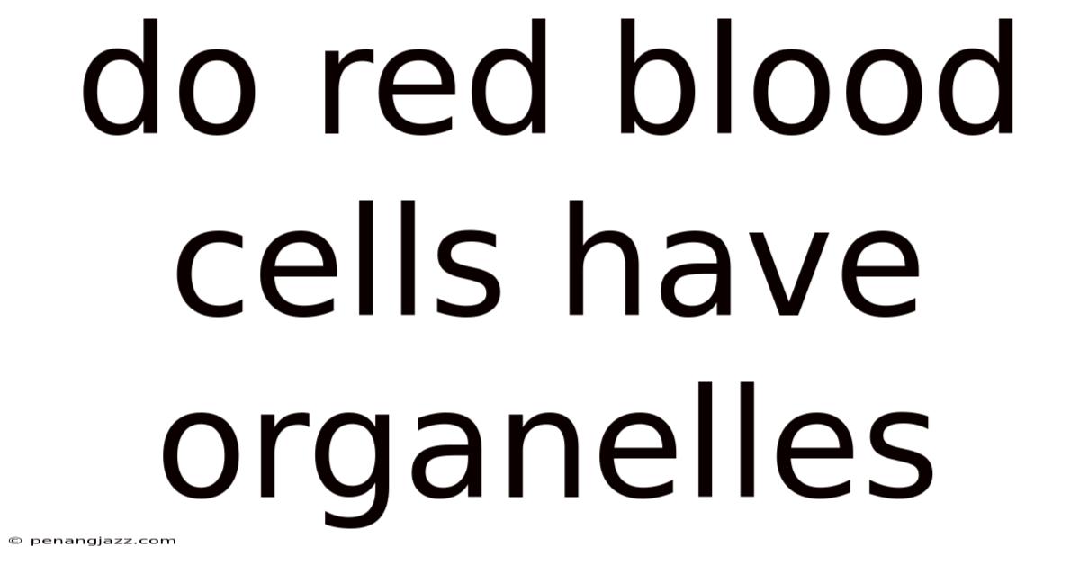 Do Red Blood Cells Have Organelles