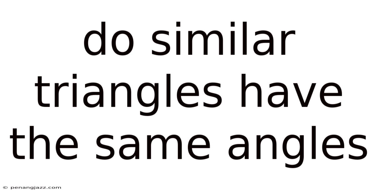 Do Similar Triangles Have The Same Angles