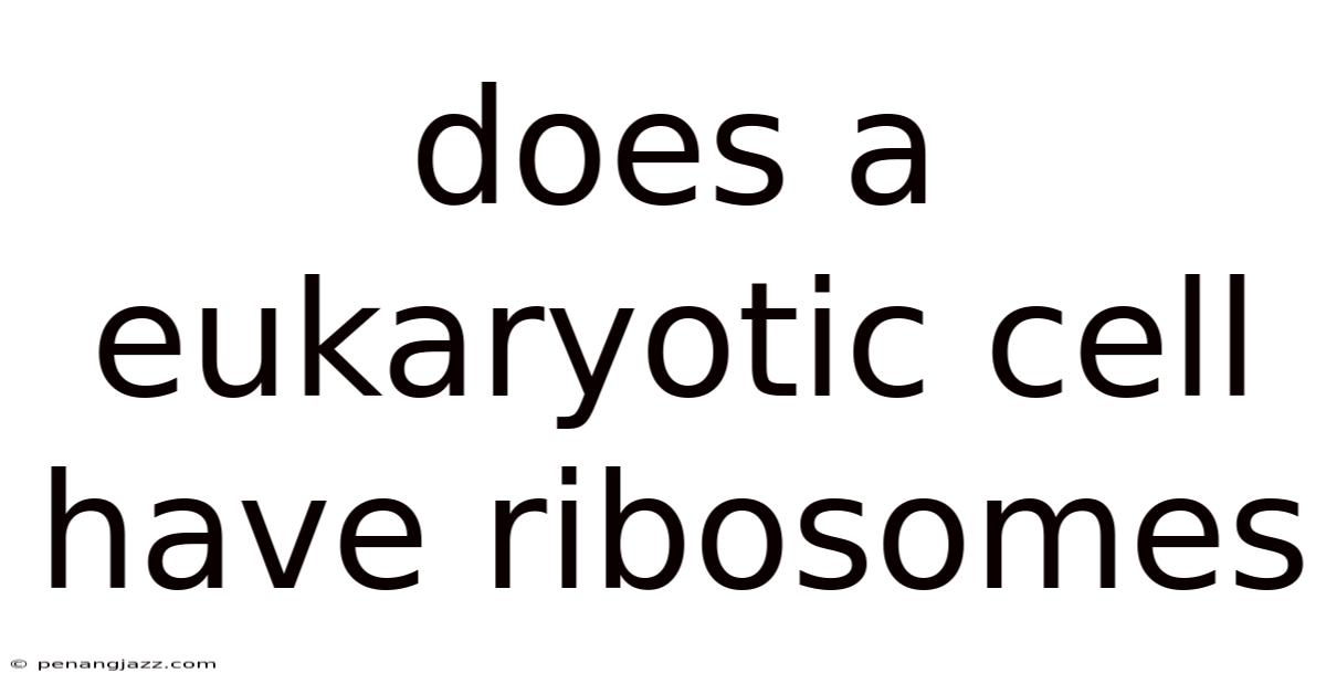 Does A Eukaryotic Cell Have Ribosomes