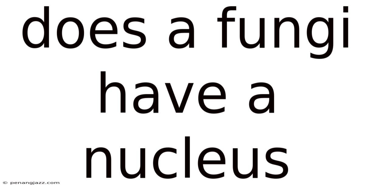 Does A Fungi Have A Nucleus