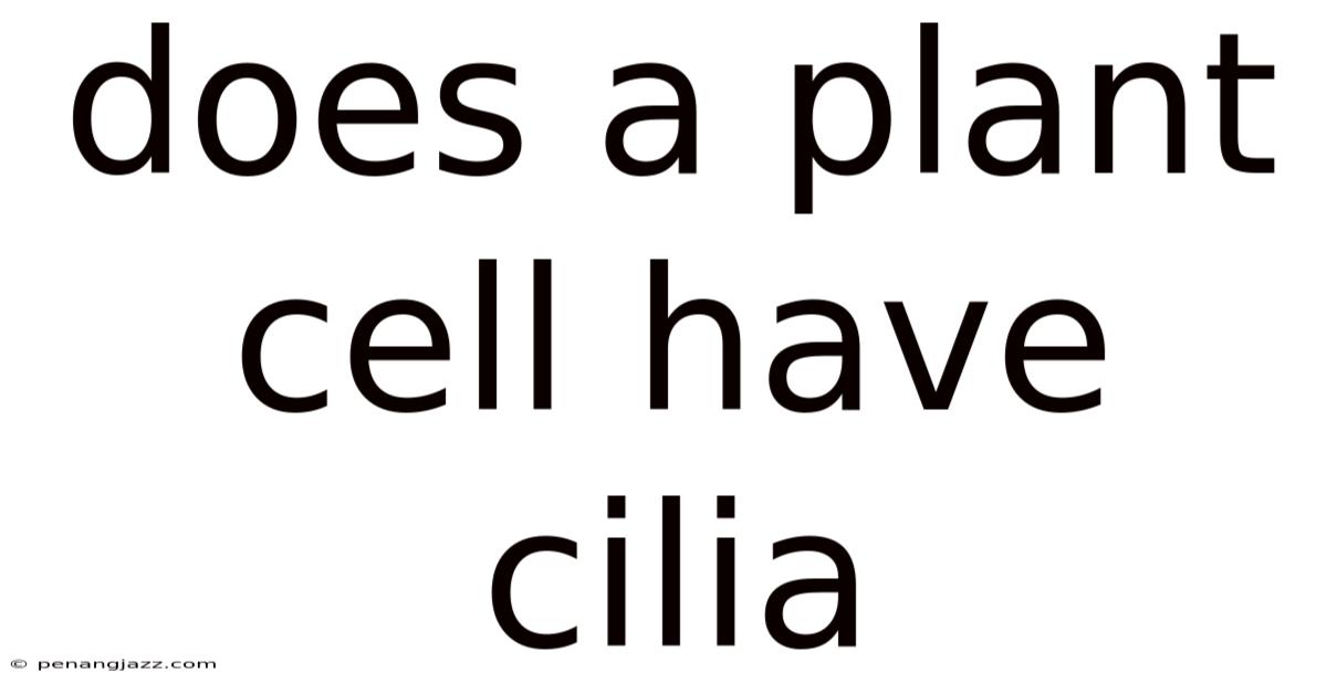 Does A Plant Cell Have Cilia