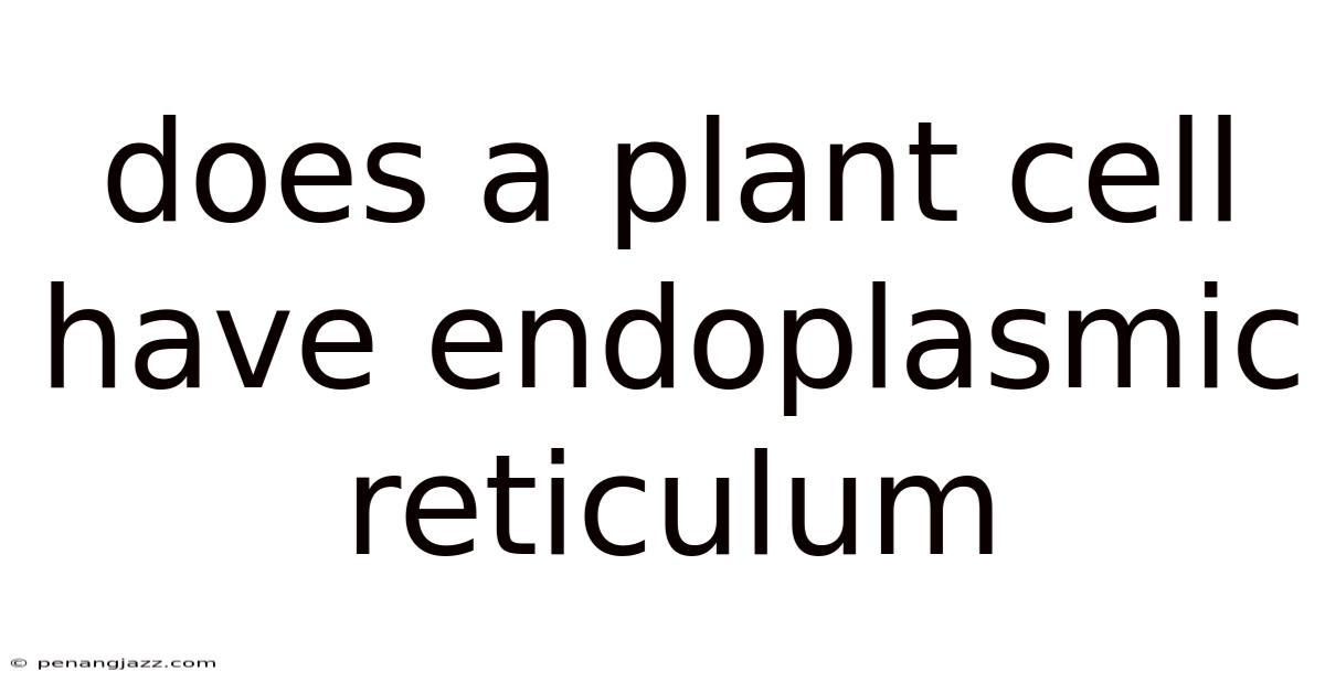 Does A Plant Cell Have Endoplasmic Reticulum