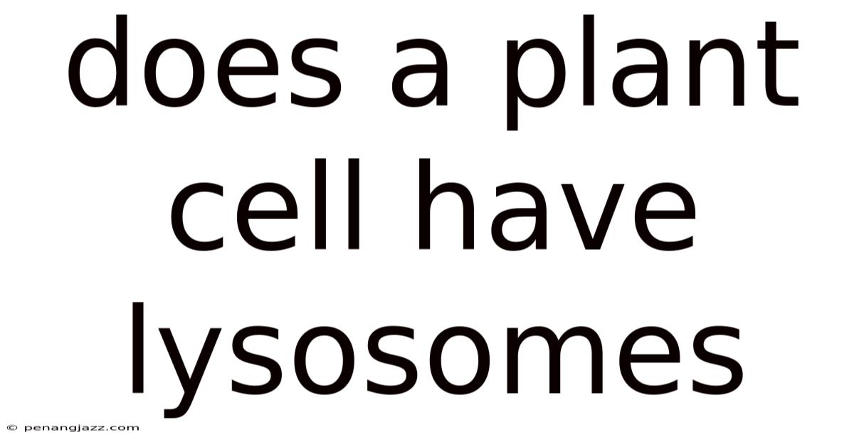 Does A Plant Cell Have Lysosomes