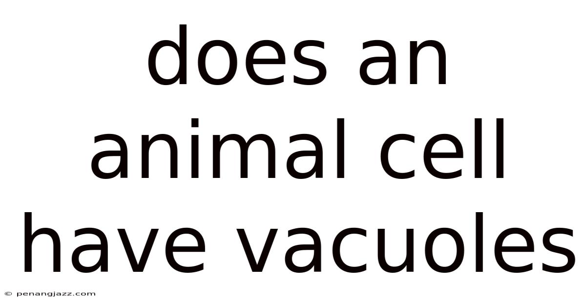 Does An Animal Cell Have Vacuoles