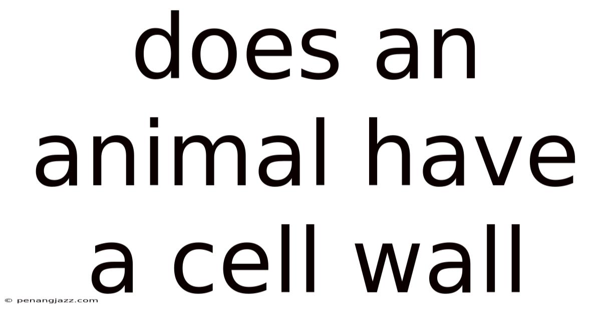 Does An Animal Have A Cell Wall