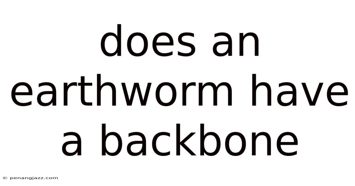 Does An Earthworm Have A Backbone