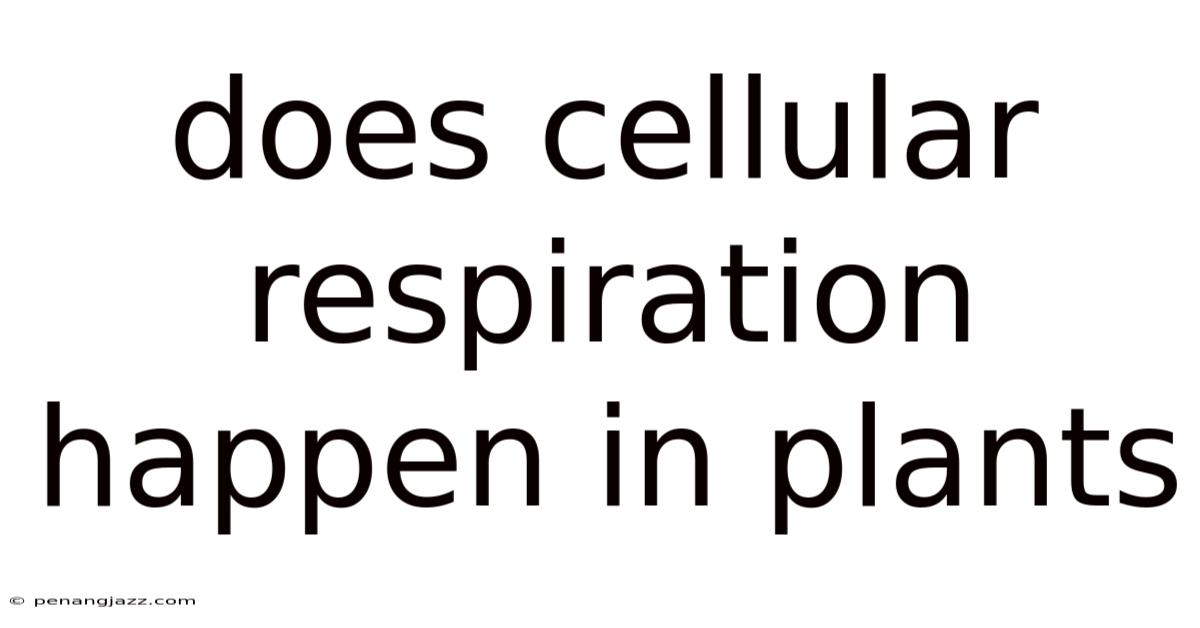Does Cellular Respiration Happen In Plants
