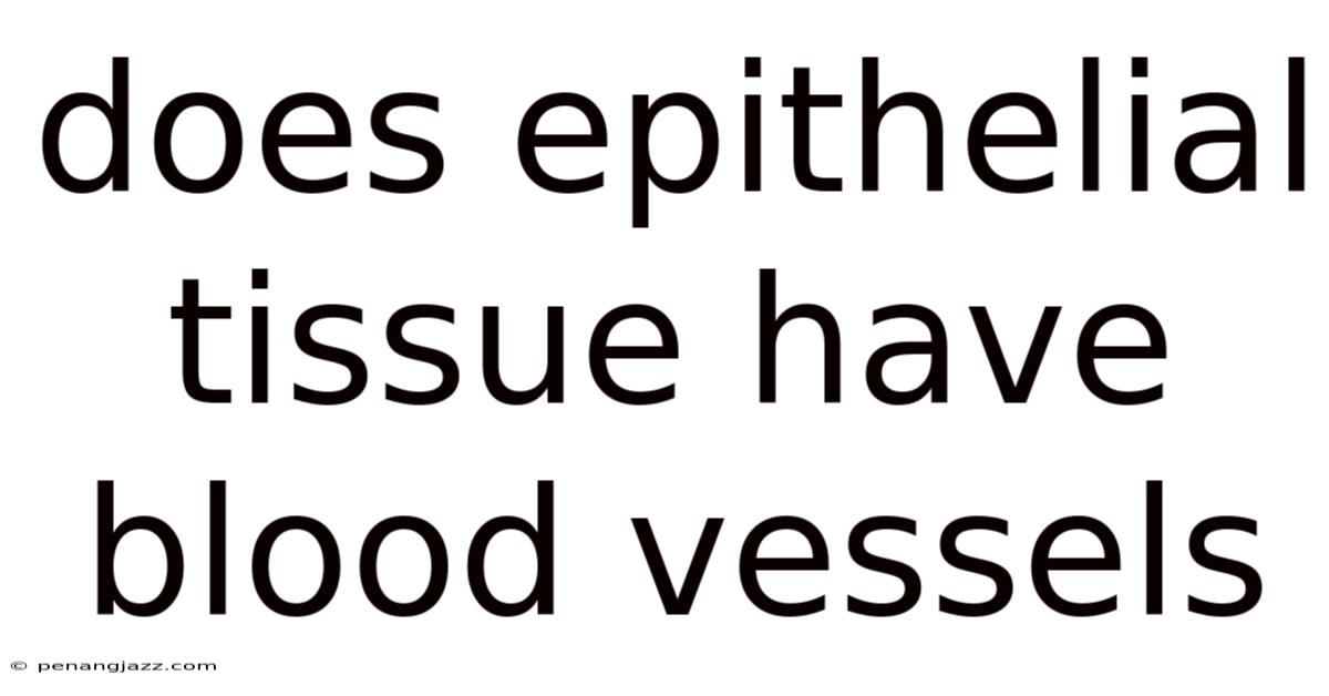 Does Epithelial Tissue Have Blood Vessels