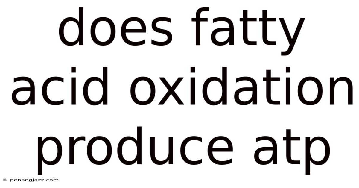 Does Fatty Acid Oxidation Produce Atp