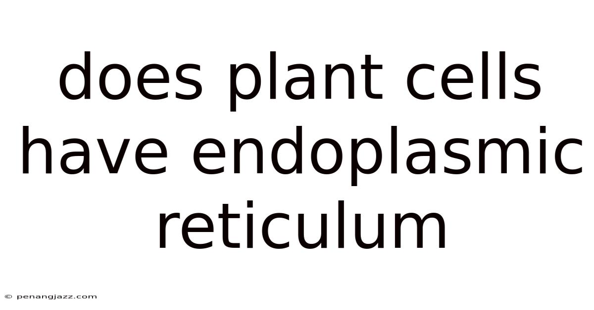 Does Plant Cells Have Endoplasmic Reticulum