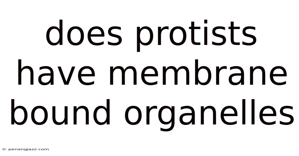 Does Protists Have Membrane Bound Organelles
