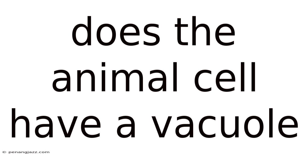 Does The Animal Cell Have A Vacuole