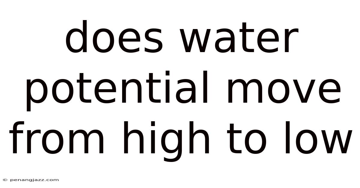 Does Water Potential Move From High To Low