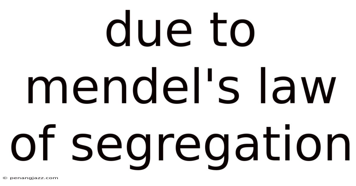 Due To Mendel's Law Of Segregation