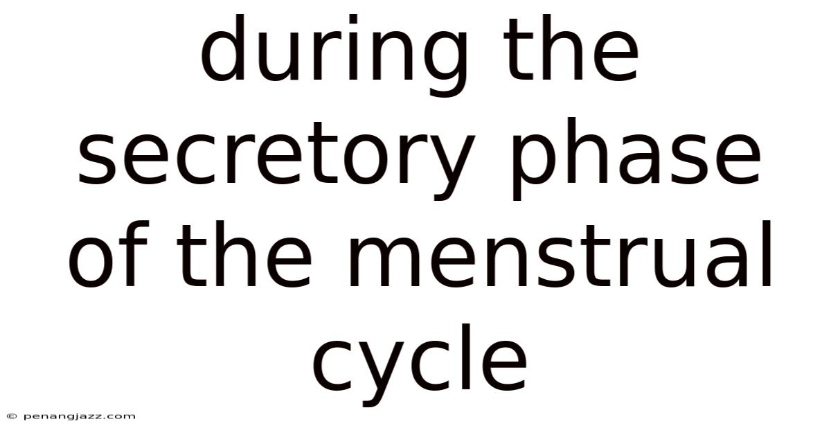 During The Secretory Phase Of The Menstrual Cycle